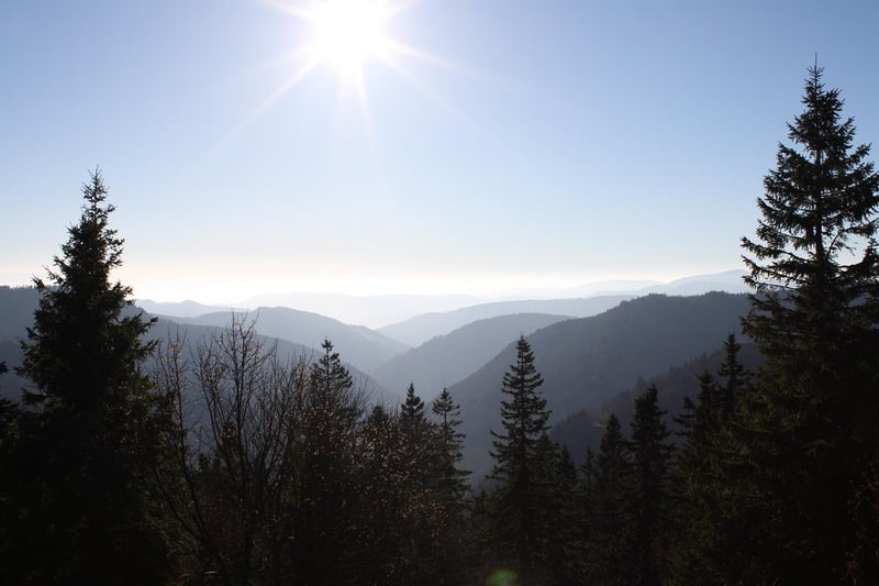 The Black Forest, Germany